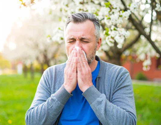 Hooikoorts Natuurlijk Aanpakken: Klachten, Kruidenthee, Tisane en Meer